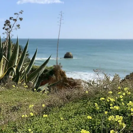 Διαμέρισμα Paradise