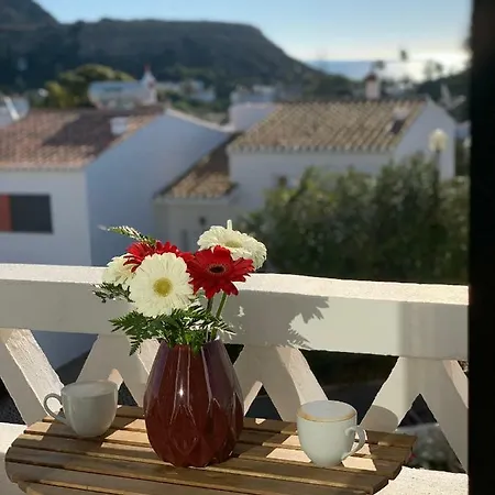 Paradise Apartment