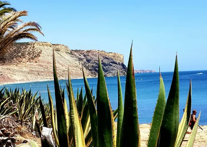 아파트 Paradise Senhora da Luz